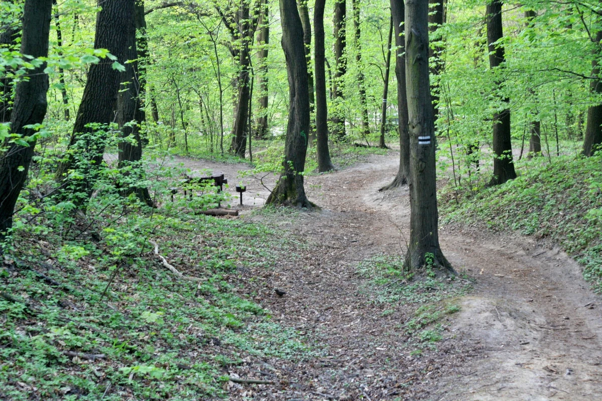 Prokuratura wszczęła śledztwo ws. zwłok znalezionych w Lesie Wolskim w Krakowie. Sprawa badana jest pod kątem zabójstwa. 