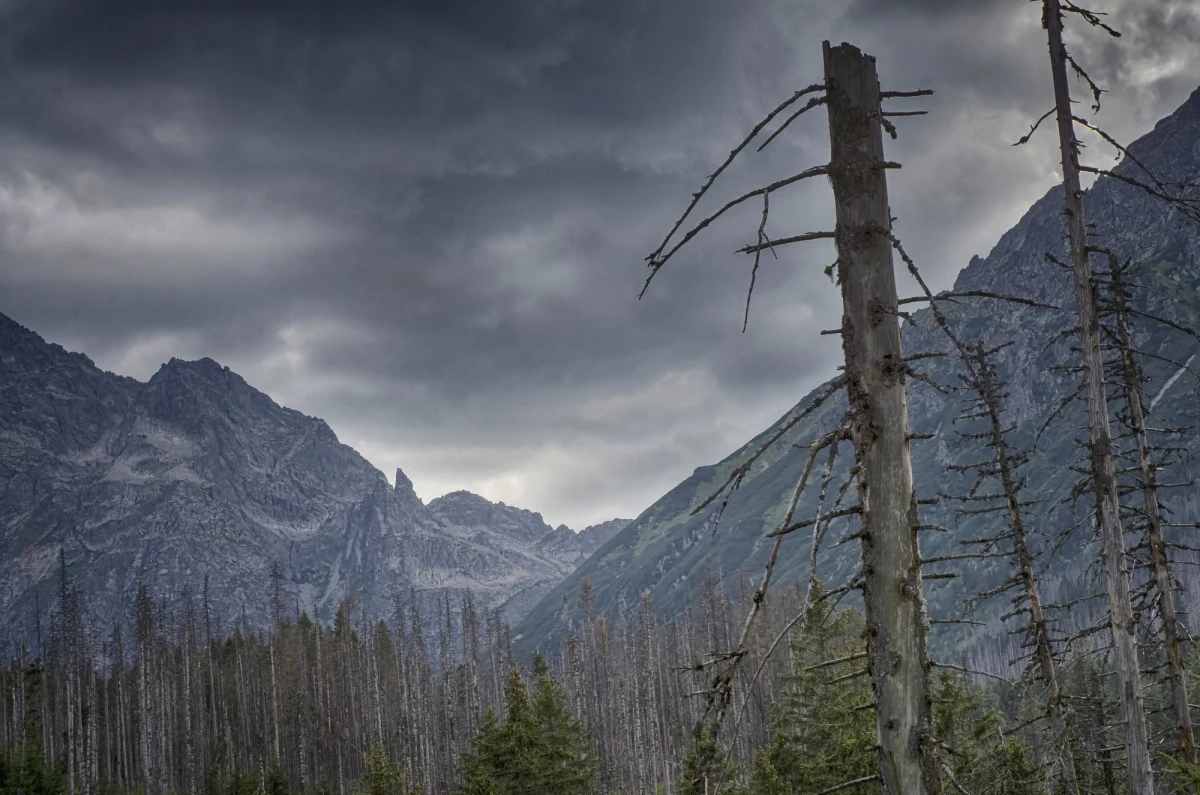 Trwają poszukiwania 53-letniego Polaka, który wybrał się na samotną wędrówkę ze słowackiej miejscowości Ździar w kierunku Przełęczy pod Kopą. Gdy nie dotarł na umówione miejsce, zaalarmowano Horską Zachranną Służnę. 