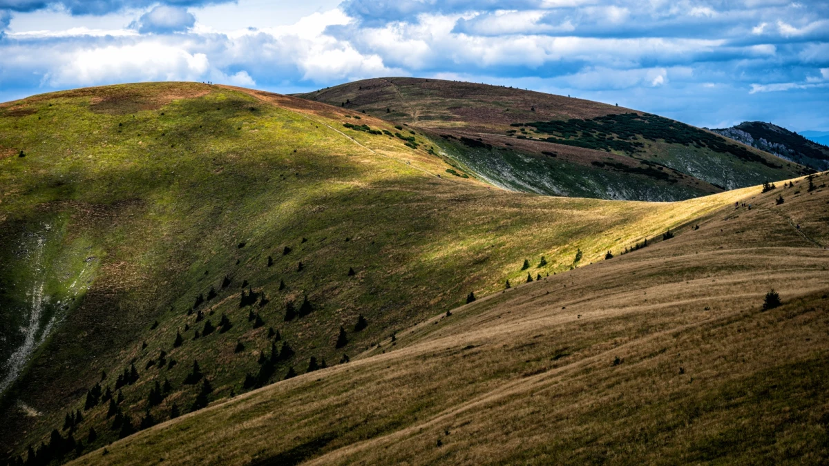 Czterech Polaków - wędrujących szlakami Wielkiej Fatry - zostało poczęstowanych ciastkami z halucynogennymi grzybami. Tracący poczucie rzeczywistości turyści trafili do szpitala w Bańskiej Bystrzycy.