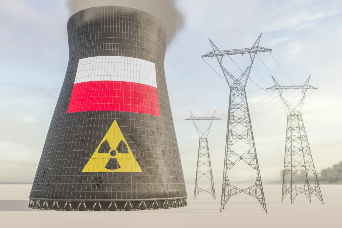 Jesteśmy już bardzo blisko wyboru zagranicznego partnera budowy pierwszej elektrowni jądrowej w Polsce w ramach rządowego programu - powiedział w Waszyngtonie wicepremier, minister aktywów państwowych Jacek Sasin po spotkaniu z minister energii USA Jennifer Granholm. Jest "bardzo duża szansa", że będzie nim amerykański koncern Westinghouse - dodał.