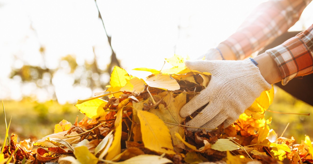 Robisz to na działce ROD? Uważaj, możesz zapłacić choćby 5000 zł kary