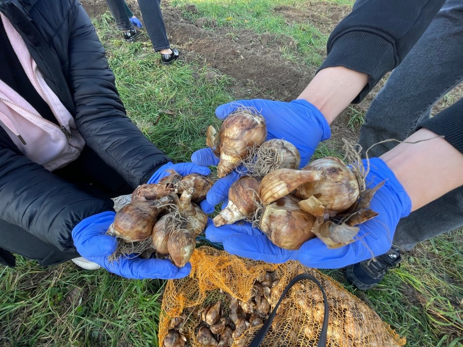 /Krzysztof Kot, RMF FM