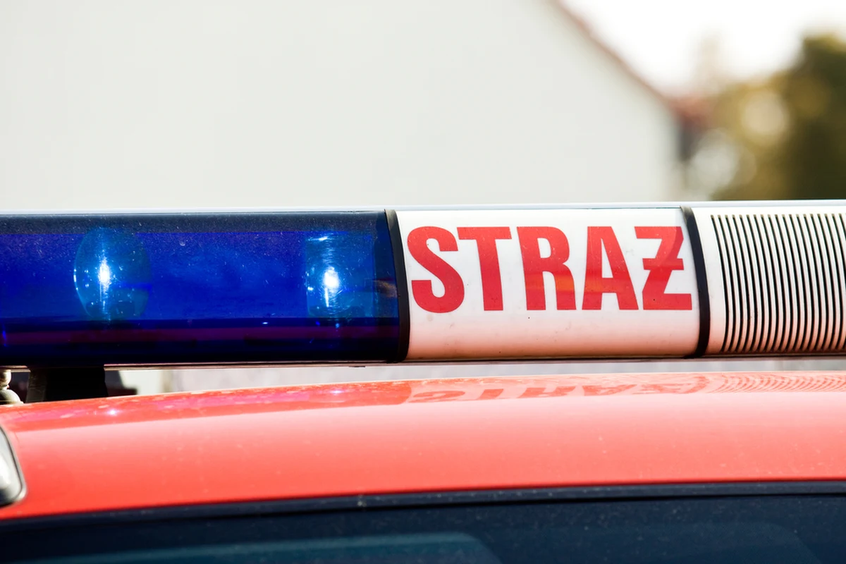 21 krów padło w wyniku pożaru obory w gospodarstwie w miejscowości Dalki (pow. gnieźnieński, woj. wielkopolskie). 4 krowy zostały poparzone.