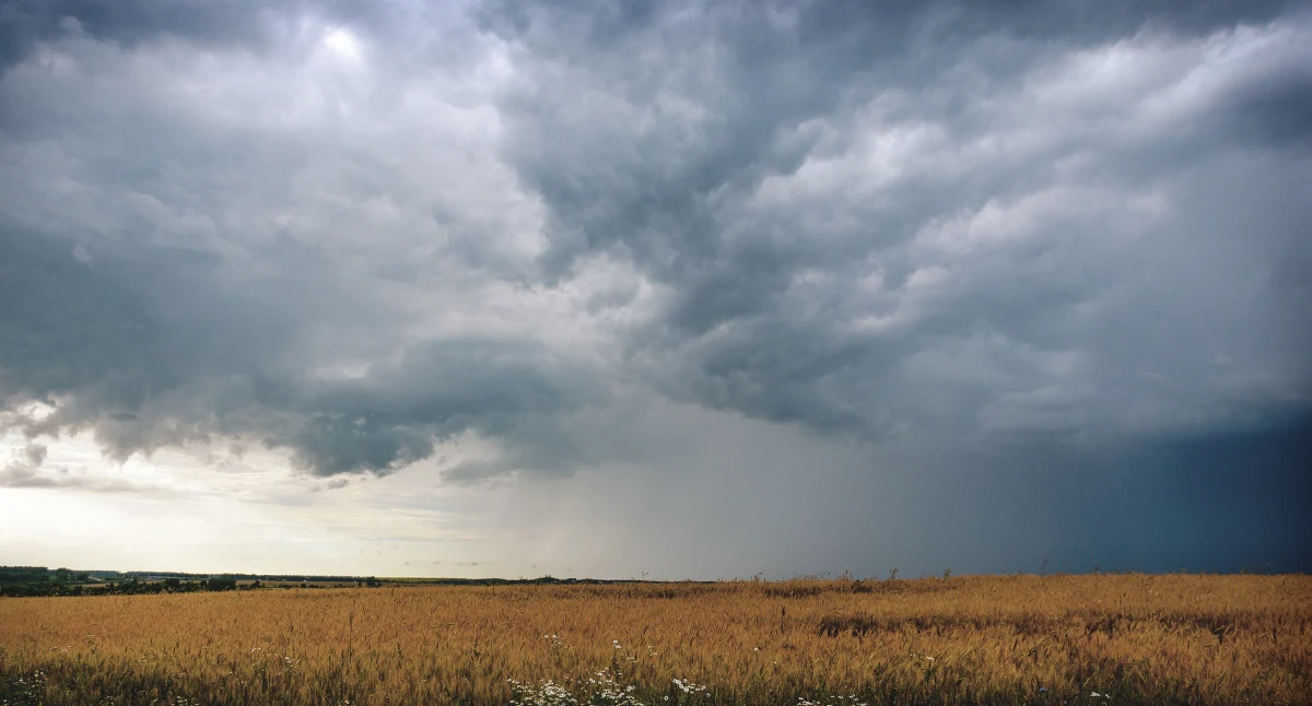 Od samego rana we wtorek zachmurzenie będzie umiarkowane i duże, lokalnie pojawią się rozpogodzenia. W całym kraju możliwe są burze - przekazał dyżurny synoptyk Instytutu Meteorologii i Gospodarki Wodnej Michał Ogródnik. 
