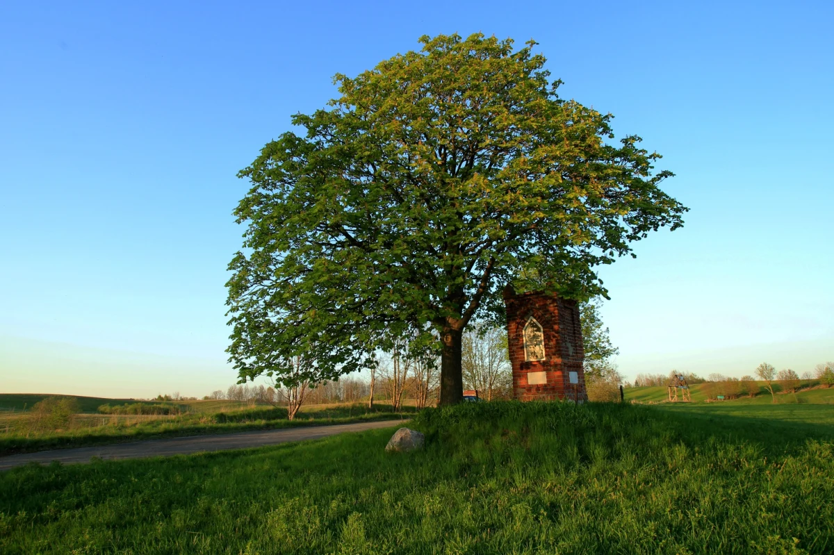 Społecznicy z Towarzystwa Miłośników Reszla i Okolic odnowili kolejną kapliczkę różańcową na trasie między Reszlem, a Świętą Lipką. Zakończyły się też prace konserwatorskie przy kapliczkach w warmińskich wsiach Kieźliny i Brąswałd.