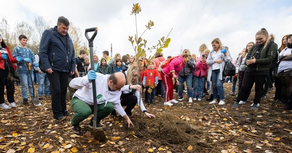 Rzeszów włączył się do akcji "Czyste, zielone miasta", prowadzonej przez Stowarzyszenie Program Czysta Polska. We wtorek przy ul. Jarowej posadzonych zostało 200 drzew: dębów szypułkowych i sosen zwyczajnych.
