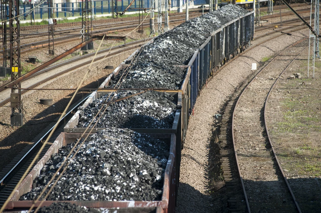 Zdaniem rządu węgiel sprowadzany do Polski statkami powinien trafiać do regionów przede wszystkim po torach kolejowych. Szlaki mają jednak ograniczoną przepustowość