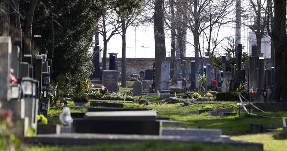 Leśnicy na Podkarpaciu, m.in. w Bieszczadach, Beskidzie Niskim oraz na pogórzach karpackich, przed Wszystkimi Świętymi porządkują mogiły i miejsca pamięci na leśnych cmentarzach.