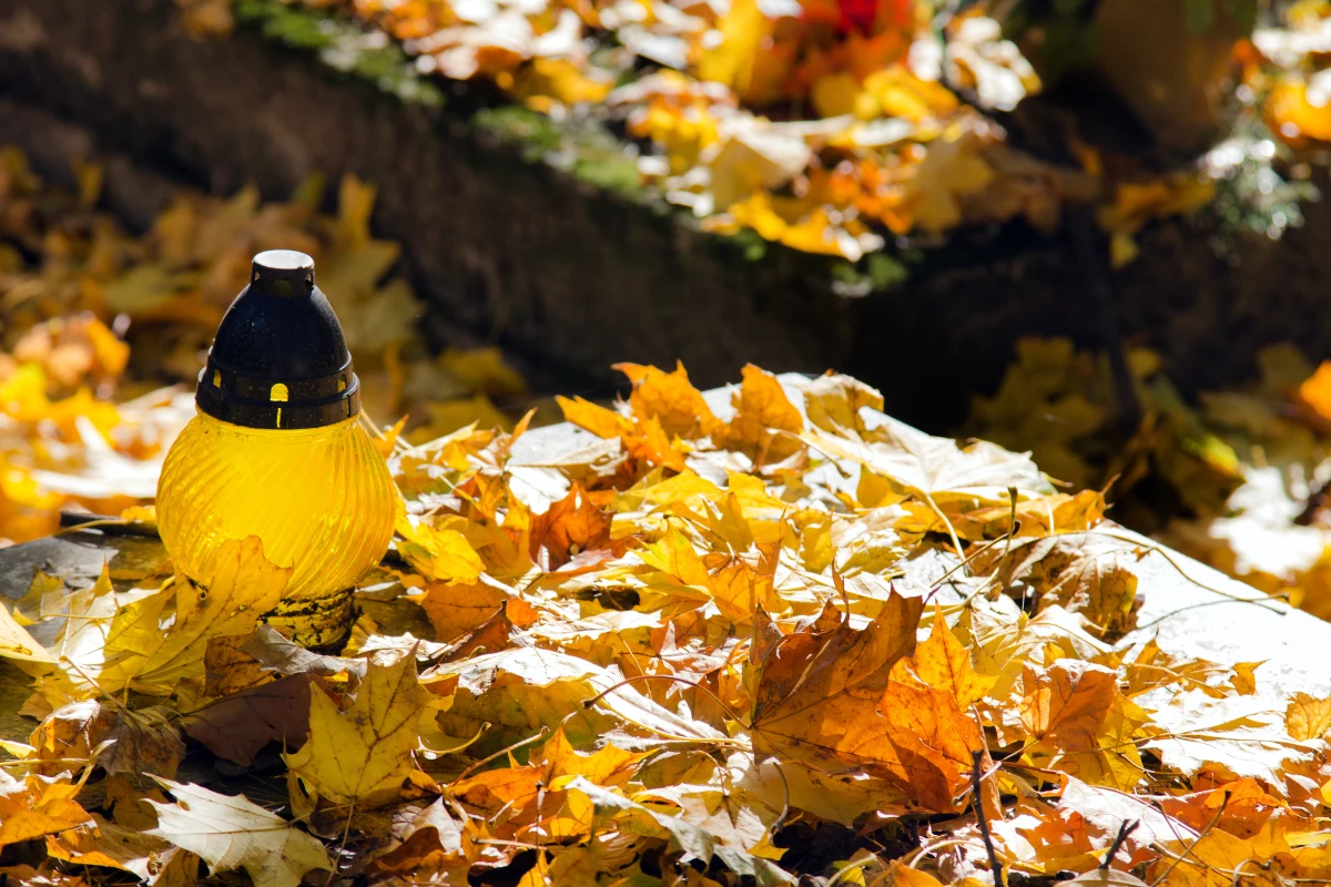 Krakowskie nekropolie przed 1 listopada będą otwarte dłużej. By ułatwić dojazd do nich uruchomione zostaną 32 dodatkowe linie autobusowe i tramwajowe. Zmieni się także organizacja ruchu w rejonie cmentarzy. Sprawdź jak.

