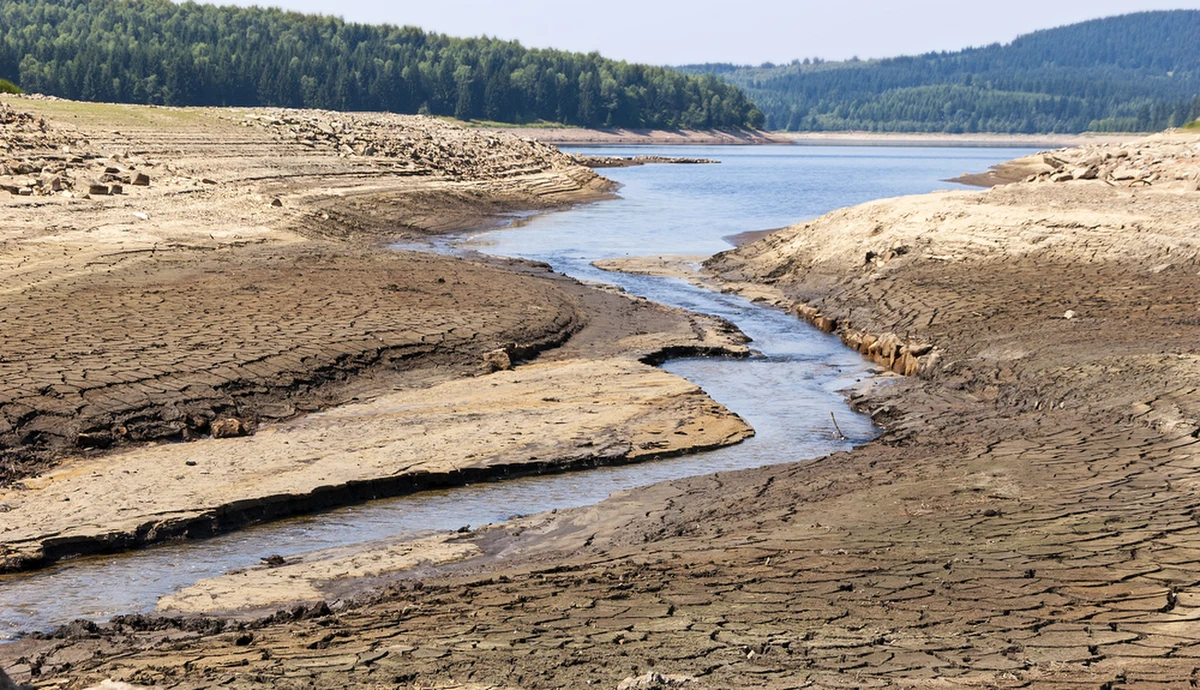 Zmiany klimatyczne przyczyniają się do statystyki poważnych chorób - wynika z najnowszego raportu opublikowanego w brytyjskim prestiżowym czasopiśmie medycznym "Lancet".