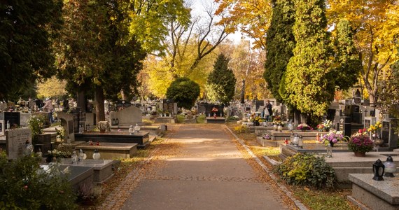 Seniorzy w Krakowie mogą liczyć na dowóz meleksem sprzed bramy cmentarnej do grobu bliskiej osoby. Do skorzystania z takiej bezpłatnej usługi organizatorzy zachęcają przy okazji zbliżającego się dnia Wszystkich Świętych.