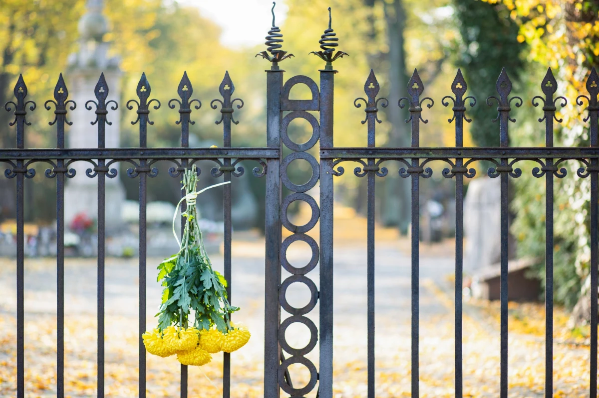 Nowy rozkład jazdy, zmieniona organizacja ruchu w okolicach cmentarzy oraz godziny otwarcia nekropolii - zebraliśmy dla was najważniejsze informacje, które powinniście mieć przed wyruszeniem na cmentarz w weekend oraz 1 i 2 listopada.
