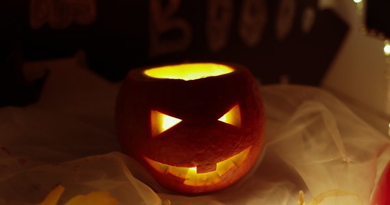 Dla jednych to niewinna zabawa, a dla innych grzech, za który ci pierwsi powinni przepraszać. Halloween jest coraz częściej obchodzone w Polsce, choć są też przeciwnicy tego święta. W RMF24 pytamy poznańskiego księdza, Radosława Rakowskiego, jak on patrzy na tę uroczystość.