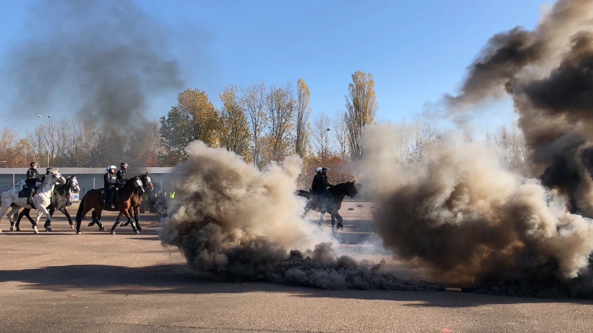 Odporność na stres, posłuszeństwo i zgranie oceniano w trakcie egzaminu dla policyjnych koni, który odbył się w Łodzi. Wszystkie konie w Łódzkiem wypadły pozytywnie i tym samym potwierdziły swoją przydatność do służby.