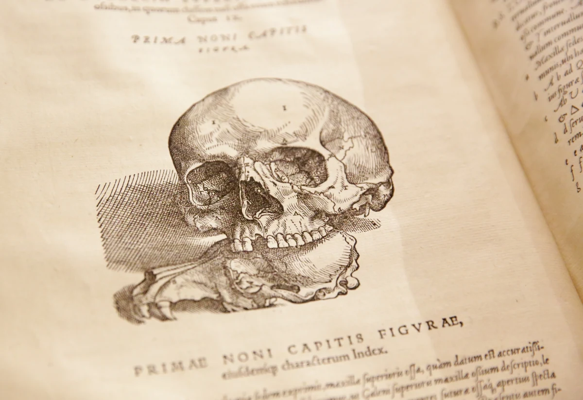 ​Muzeum Archidiecezji Warmińskiej na stałej wystawie poświęconej tematyce funeralnej prezentuje przedmioty towarzyszące przed laty ceremonii pożegnania zmarłych. Zgromadzono tam m.in. trumny egzekwialne i przeznaczone do pochówku, urnę z początku XX wieku i mary.