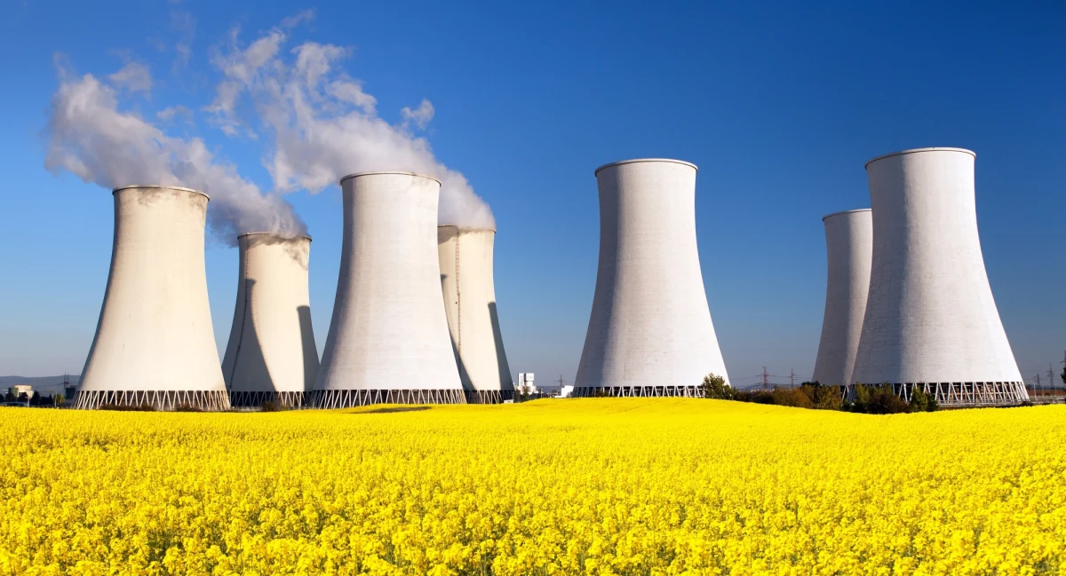 Budowa elektrowni jądrowej oznacza dużo korzystnych rozwiązań inwestycyjnych dla województwa pomorskiego - powiedział rzecznik rządu Piotr Müller. Dodał, że szczegóły realizacji programu związanego z inwestycjami w regionie pomorskim zostaną ogłoszone w najbliższym czasie.