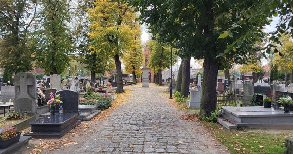 Rzymskokatolicki Stary Cmentarz w Ostrowie Wielkopolskim jest jedną z najstarszych nekropolii, która powstała na terenie Polski. W dodatku wciąż odbywają się tam pochówki. Przybliżamy historię tego miejsca oraz opisujemy, jakie postaci historyczne spoczywają na ostrowskim cmentarzu.