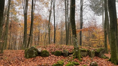 ​Kurhany w Uniradzach. Miejsce pochówku wielu pokoleń mieszkańców Pomorza