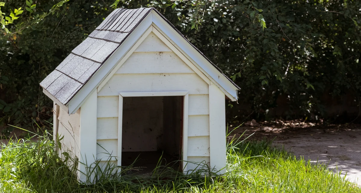 ​Nietypowe miejsce na ukrycie się przed policjantami znalazł 32-letni mieszkaniec gminy Kisielice w województwie warmińsko-mazurskim, który awanturował się na jednej z posesji. Funkcjonariusze znaleźli go... w psiej budzie.