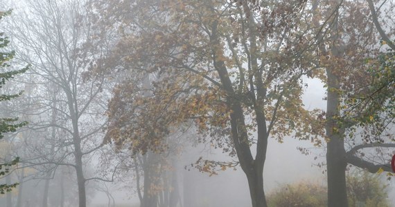 Synoptycy prognozują, że 1 listopada w dzień Wszystkich Świętych będzie ciepły. W niektórych miejscach na termometrach zobaczymy nawet 21 st. C. Będzie jednak pochmurno. Jakiej pogody możemy spodziewać się z kolei w Dzień Zaduszny?