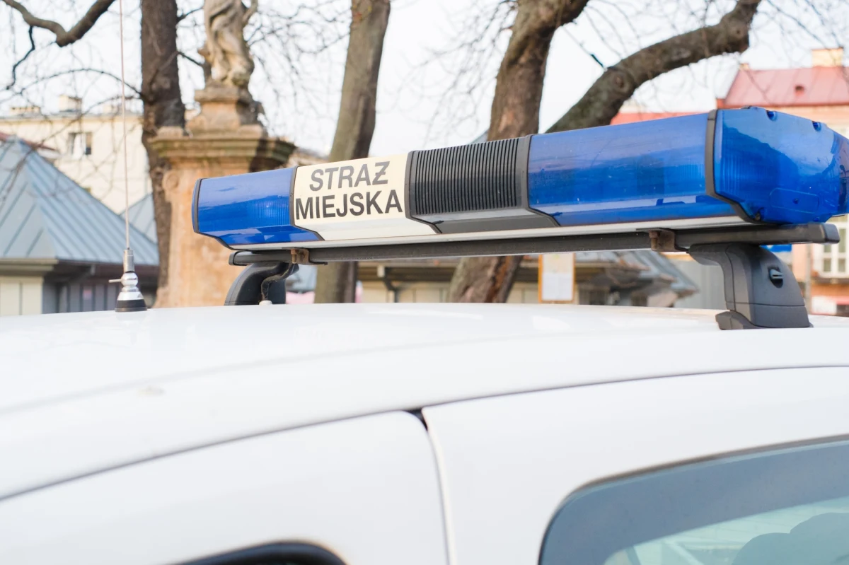 Na łódzkich cmentarzach trwa akcja "Hiena" prowadzona przez strażników miejskich. Nekropolie oraz ich okolice patrolowane są przez całą dobę z użyciem noktowizorów i kamer termowizyjnych. Dzięki temu można wykryć  przypadki dewastacji czy kradzieży po zmroku.

