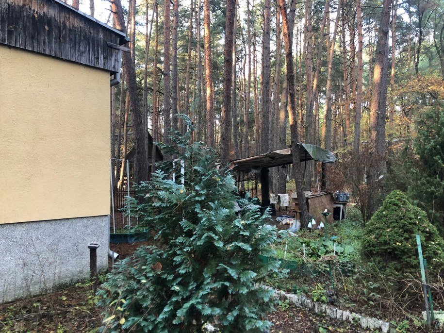 /Michał Dobrołowicz /RMF FM