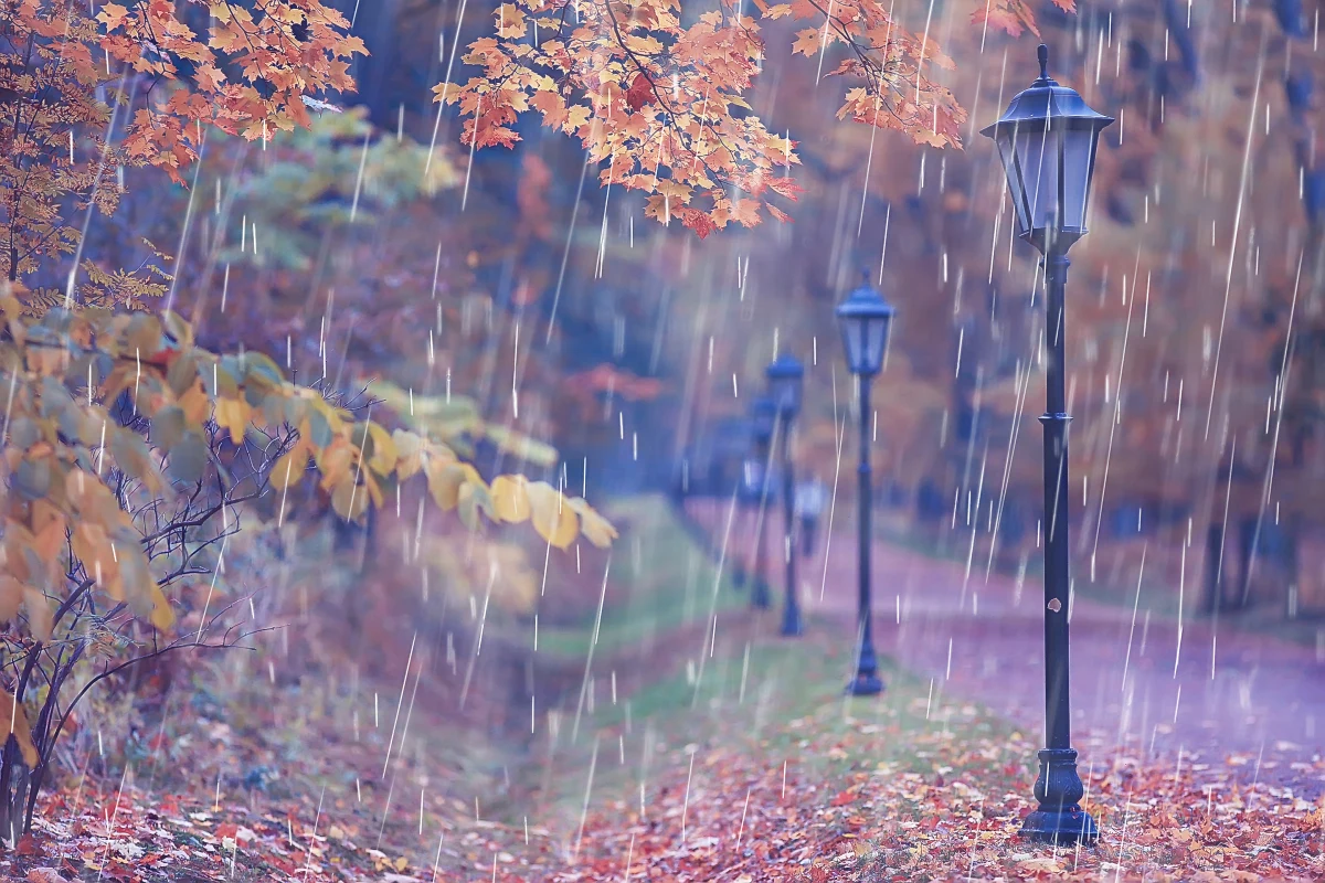 Jak informują synoptycy, czas na zmiany w pogodzie. Powoli żegnamy ciepłą, słoneczną złotą polską jesień i wyżowe warunki atmosferyczne. Najbliższy tydzień będzie zdecydowanie chłodniejszy niż ten miniony, z temperaturą w granicach 10-14°C. W piątek dostaniemy się od zachodu pod wpływ zatoki niżowej oraz związanego z nią układu frontów atmosferycznych. Przyniosą nam one w weekend sporo chmur oraz opady deszczu w całym kraju.

