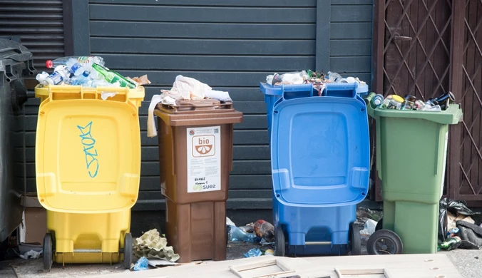 Najczęściej popełniane błędy przy segregacji śmieci. Ty też je robisz?