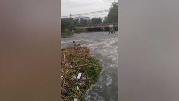 Pewien odważny wędkarz został nagrany w trakcie połowu na rwącej rzece w tajlandzkiej prowincji Ajutthaja. Mężczyzna stoi na tratwie stworzonej z roślin i siłuje się z rybą. Zobaczcie sami.