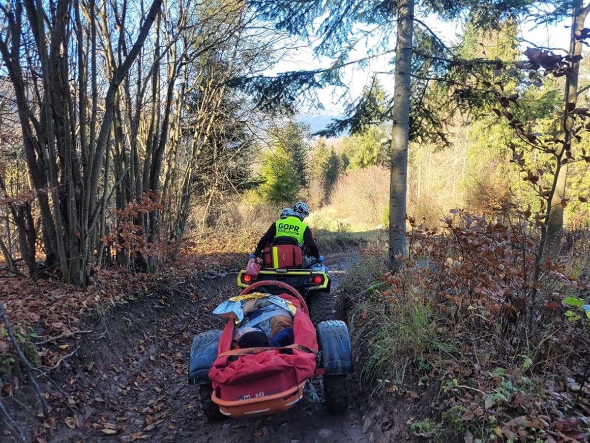 67-letni mężczyzna został ranny podczas wycinki drzewa w lesie w Szczawnicy, w powiecie nowotarskim. Ciągnik stoczył się ze stromego podjazdu i najechał na niego przednim kołem. Dzięki ratownikom GOPR z sekcji Szczawnica, poszkodowany został przewieziony z trudnodostępnego terenu, a następnie przetransportowany do szpitala. 