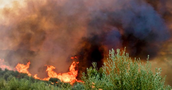 ​Czwarty dzień trwa pożar na bułgarskiej granicy, ogień przerzucił się do Bułgarii z Grecji i objął lasy w gminie Kirkowo. Front pożaru ma 20 km. W niedzielę do walki z ogniem sprowadzono ciężkie maszyny i śmigłowiec z bazy wojskowej Krumowo.