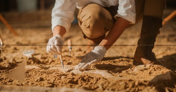 ​Archeolodzy przejmują odcinek ul. Królowej Jadwigi w Krakowie, gdzie budowniczy odkryli ludzkie czaszki. Remont na pozostałej części drogi będzie kontynuowany - wynika z sobotnich informacji magistratu.