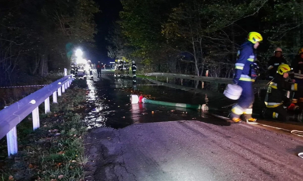 Przed północą zakończyła się akcja strażaków w miejscowości Łobez w województwie zachodniopomorskim. Po przerwaniu tamy na okolicznym systemie zalewowym woda zniszczyła drogą wojewódzką nr 151. Zalanych zostało ponadto kilka gospodarstw domowych. Prawdopodobnie winne są bobry, które pobliżu wybudowały tamę.