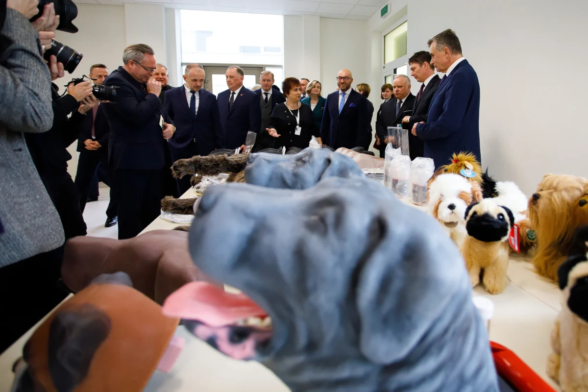 Studenci weterynarii w Lublinie będą ćwiczyć umiejętności praktyczne na fantomach zwierząt, m.in. krowy, konia i psów, w ramach utworzonej Pracowni Umiejętności Klinicznych na Uniwersytecie Przyrodniczym. 1,6 mln zł na inwestycję pochodzi z grantu resortu edukacji.