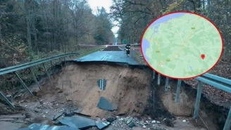 Łobez. Bobry spowodowały podtopienia. "Naprawa drogi potrwa dwa miesiące"