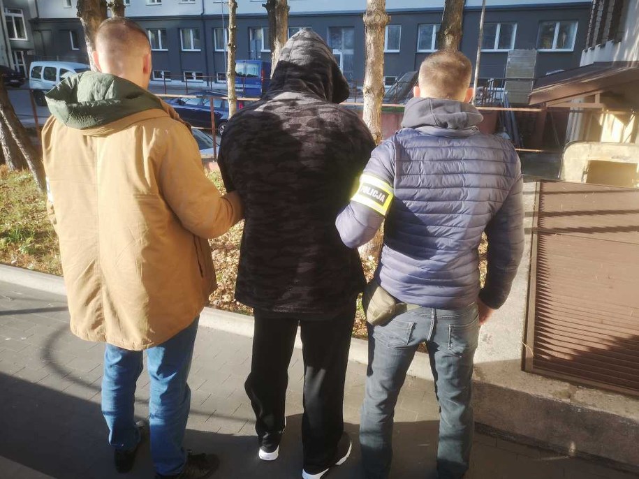 /Łódzka policja /Materiały prasowe