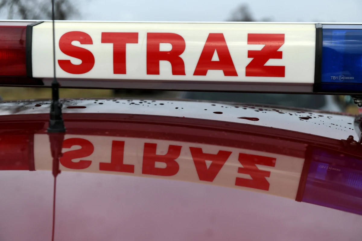 Strażacy walczyli z pożarem pociągu Zamenhof relacji Białystok-Warszawa Zachodnia. Na odcinku Tłuszcz-Wołomin zapaliła się lokomotywa. Nikomu nic się nie stało, ale konieczna była ewakua ja pasażerów.