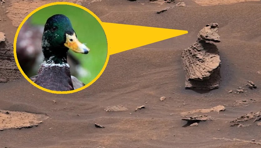 ¿También ves el «pato» en la imagen?  Interesante imagen de Marte