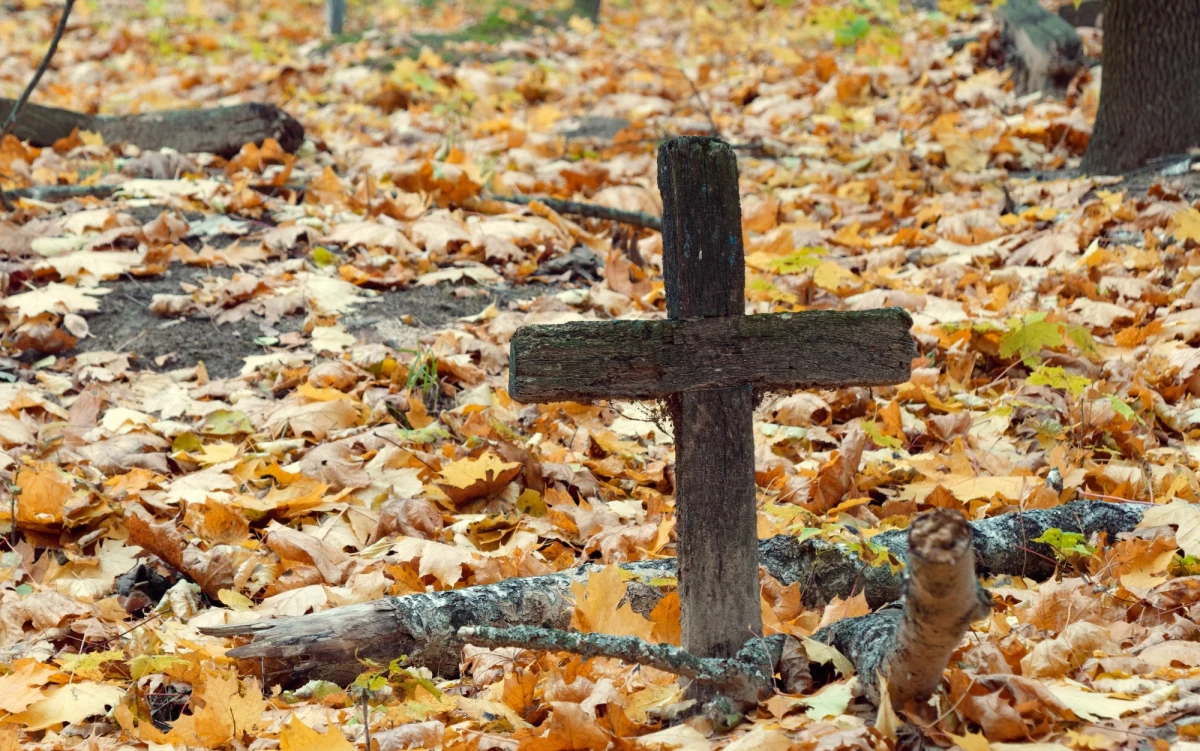Władze Ukrainy zgodziły się na rozpoczęcie prac poszukiwawczych i ekshumacyjnych mogił Polaków zamordowanych przez oddział UPA w lutym 1945 roku w miejscowości Puźniki na Podolu. Prace będą prowadzone z udziałem polskich specjalistów. Poinformowały o tym Fundacja Wolność i Demokracja, a także Ministerstwo Spraw Zagranicznych. 