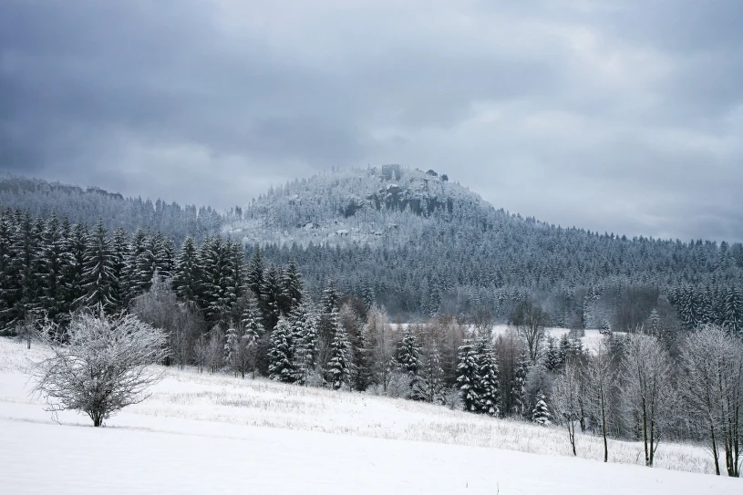 Ferie zimowe 2026 ze śniegiem? IMGW pokazał prognozę długoterminową