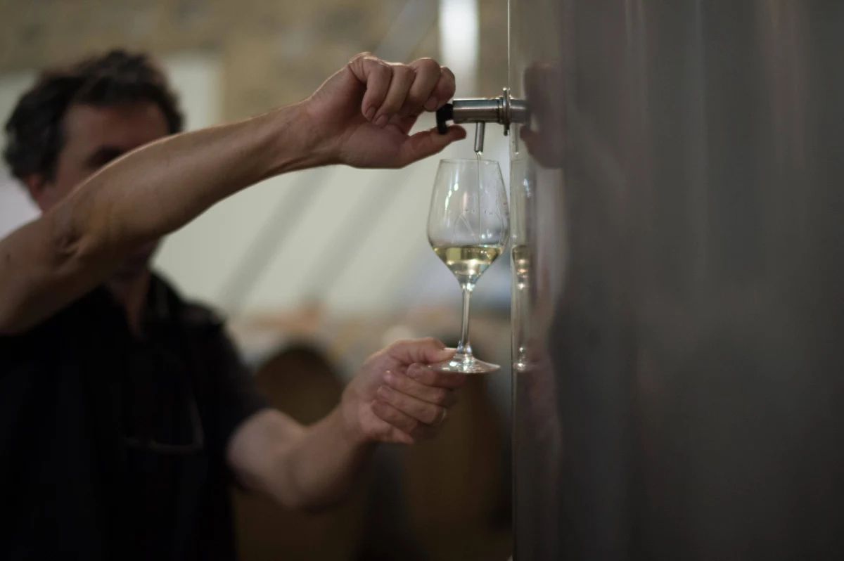 Czerwone wino ze sławnego regionu Bordeaux stanie się rarytasem. Będzie mniej tego trunku, a jego ceny wzrosną. Zapowiadają to eksperci po rekordowej suszy we Francji.