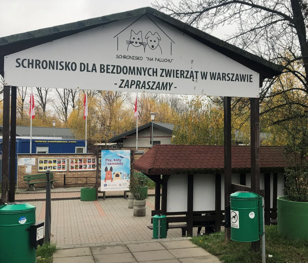 Schronisko na Paluchu szykuje się na sezon grzewczy. Ze względu na wysokie koszty utrzymania placówki jej przedstawiciele nie ukrywają, że przed nimi ciężkie miesiące i liczą każdą złotówkę, by przeżyć te najtrudniejsze momenty. 
