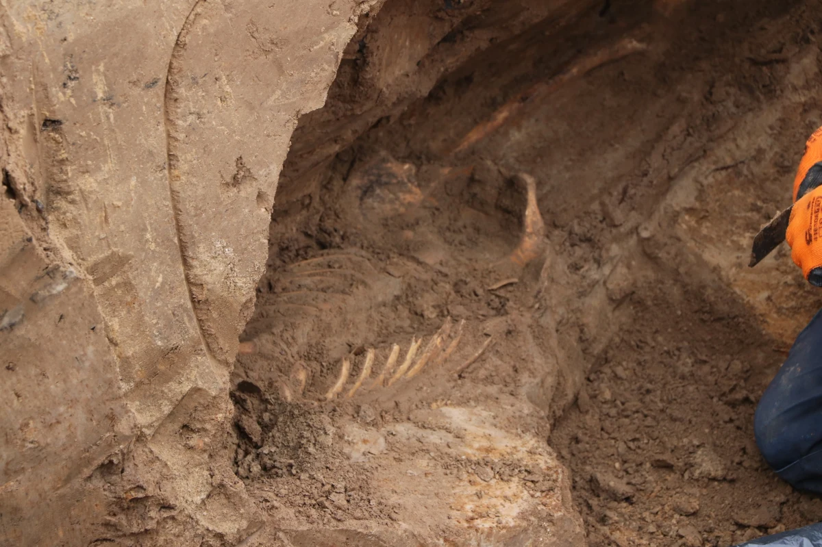 Szczątki ponad 30 osób znaleziono podczas przebudowy ul. Królowej Jadwigi w Krakowie. To pozostałości po XIX-wiecznym cmentarzu. Prace archeologiczne w tym miejscu zmierzają ku końcowi.     

