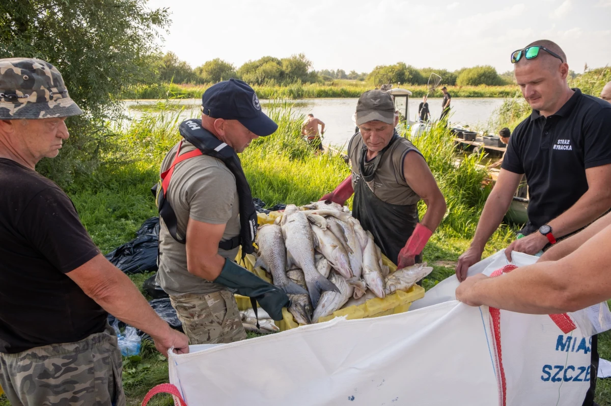 Wyjaśnienie przyczyn zatrucia Odry, do jakiego doszło w sierpniu tego roku, czyli równo 100 dni temu, zostało zamiecione pod dywan - uważa Unia Izb Odry i Łaby, która domaga się jak najszybszego powołania międzynarodowej grupy ekspertów, którzy zajmą się odbudową życia w rzece i tym, by do podobnej katastrofy nie dopuścić w przyszłości.