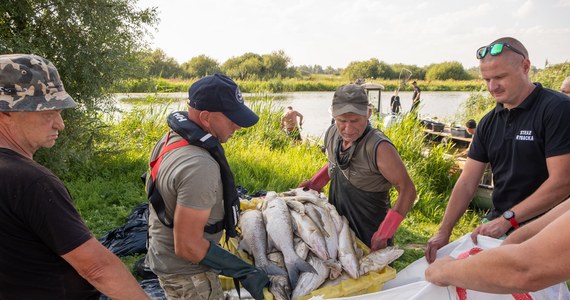 Wyjaśnienie przyczyn zatrucia Odry, do jakiego doszło w sierpniu tego roku, czyli równo 100 dni temu, zostało zamiecione pod dywan - uważa Unia Izb Odry i Łaby, która domaga się jak najszybszego powołania międzynarodowej grupy ekspertów, którzy zajmą się odbudową życia w rzece i tym, by do podobnej katastrofy nie dopuścić w przyszłości.