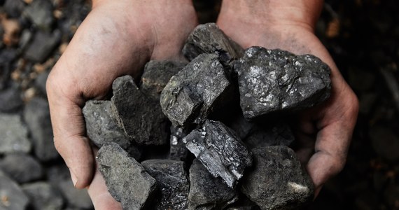 W sklepie internetowym Polskiej Grupy Górniczej do odwołania nie będzie można kupić węgla luzem. Dostępny jest tylko węgiel paczkowany i miały węglowe. 