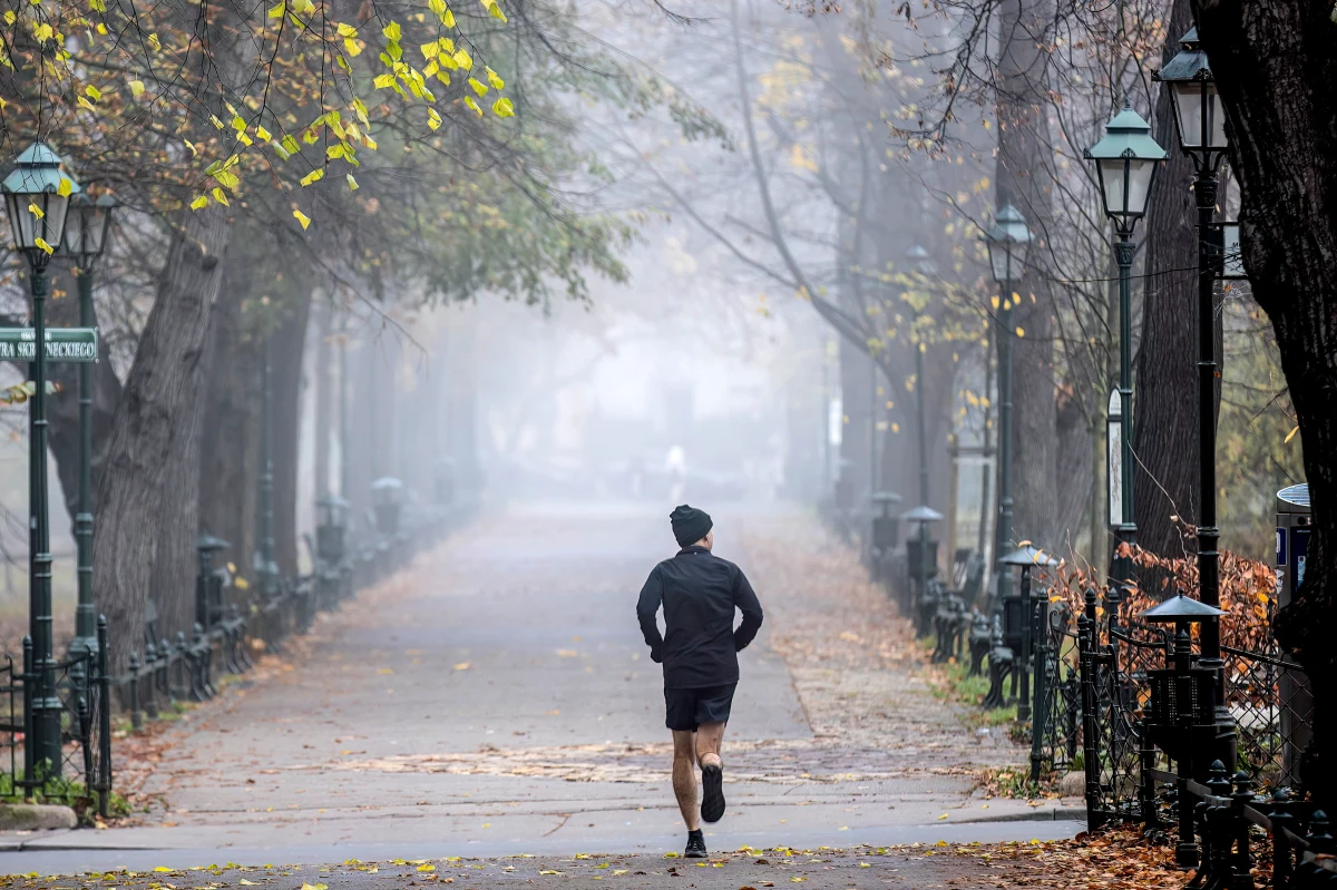 O godz. 7 rano w sobotę wystartuje IX Poranny Bieg po Plantach Krakowskich. Dystans, jaki pokonają biegacze, to 4 km. Celem organizacji biegu jest promocja regularnej, niezależnej od warunków pogodowych aktywności fizycznej.