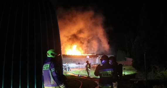Środowy pożar strzelnicy w Chrząstowicach koło Opola - w którym zginęły 4 osoby - zainicjowała eksplozja. Takie informacje przekazała RMF FM prokuratura. 