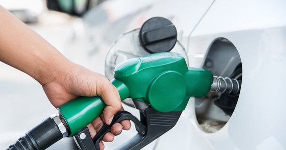 W nadchodzącym tygodniu ceny wszystkich paliw na stacjach będą niższe - przewidują analitycy portalu e-petrol.pl. Średnia cena Pb98 ukształtuje się na poziomie 7,24-7,37 zł/l, Pb95 między 6,49-6,61 zł/l, a diesla 7,64-7,81 zł/l - prognozują.
