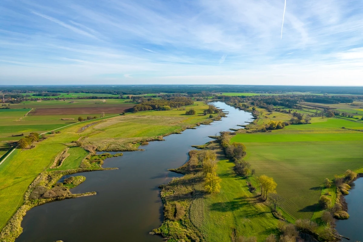 ​Polski Związek wędkarski nie będzie w najbliższym czasie zarybiać Odry. Oddziały PZW ze Szczecina i Wrocławia już wystąpiły do marszałków o zwolnienie z prowadzenia racjonalnej gospodarki rybackiej, a zwłaszcza z corocznego zarybiania i taką zgodę uzyskały.